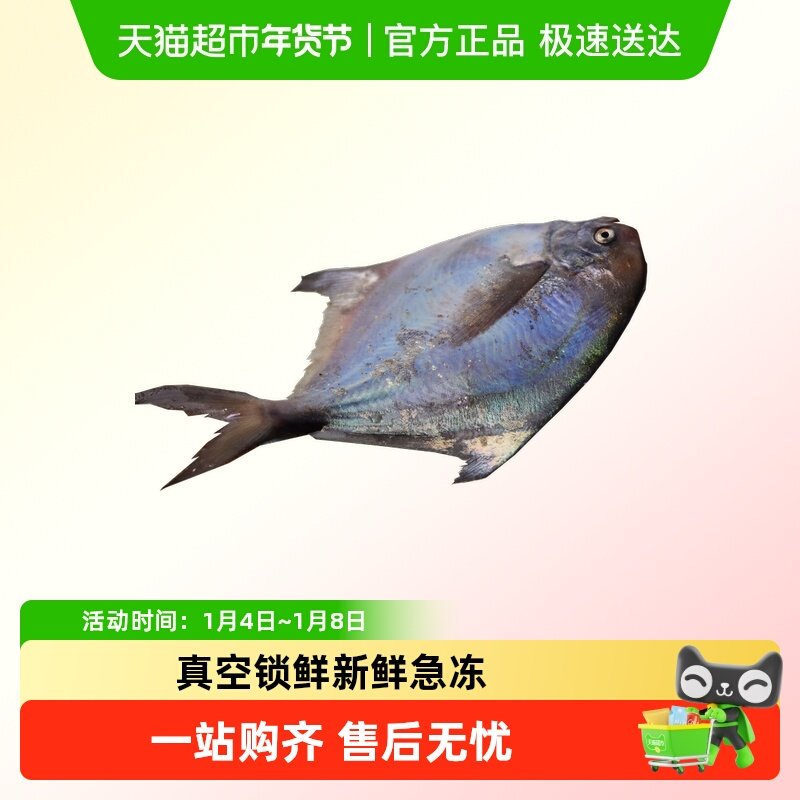 ����������������䶳�������ʲ������ʻ��ٶ�ˮ��ƽ�������� 140.6Ԫ(��88VIP 95��)