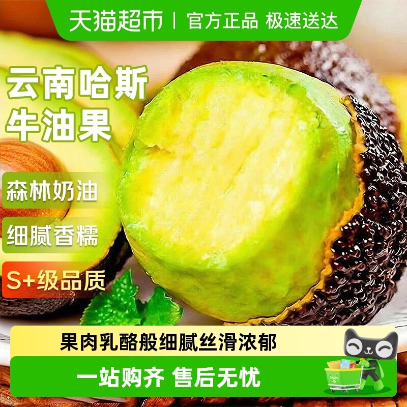 云南哈斯牛油果应当季新鲜水果整箱特大果孟连即食鳄梨孕妇