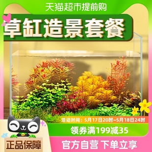 水草植物鱼缸浮萍造景阴性活体红波趴地矮珍珠淡水榕沉木莫斯 包邮