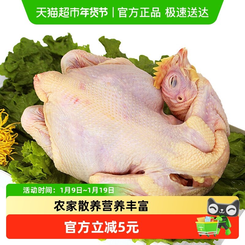 大用白羽鸡正宗谷饲走地新鲜中装鸡肉整鸡750g,水产肉类/新鲜蔬果/熟食,鸡肉/鸡肉制品,淘宝优惠券,粉丝福利购,淘宝优惠卷
