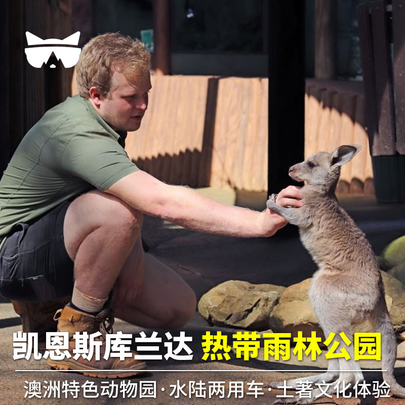 库兰达热带雨林公园 水陆战车蝴蝶园自助午餐抱考拉拍照土著文化