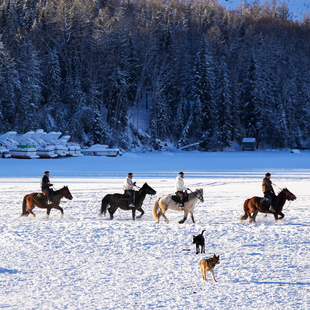 新疆旅游喀纳斯白哈巴禾木5天4日跟团游旅拍 大七座阿勒泰起止