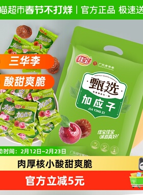 佳宝加应子水果干果脯408g李子梅子蜜饯韩话梅网红休闲小零食