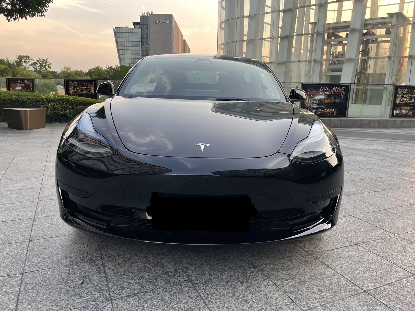 21款 特斯拉 model 3
