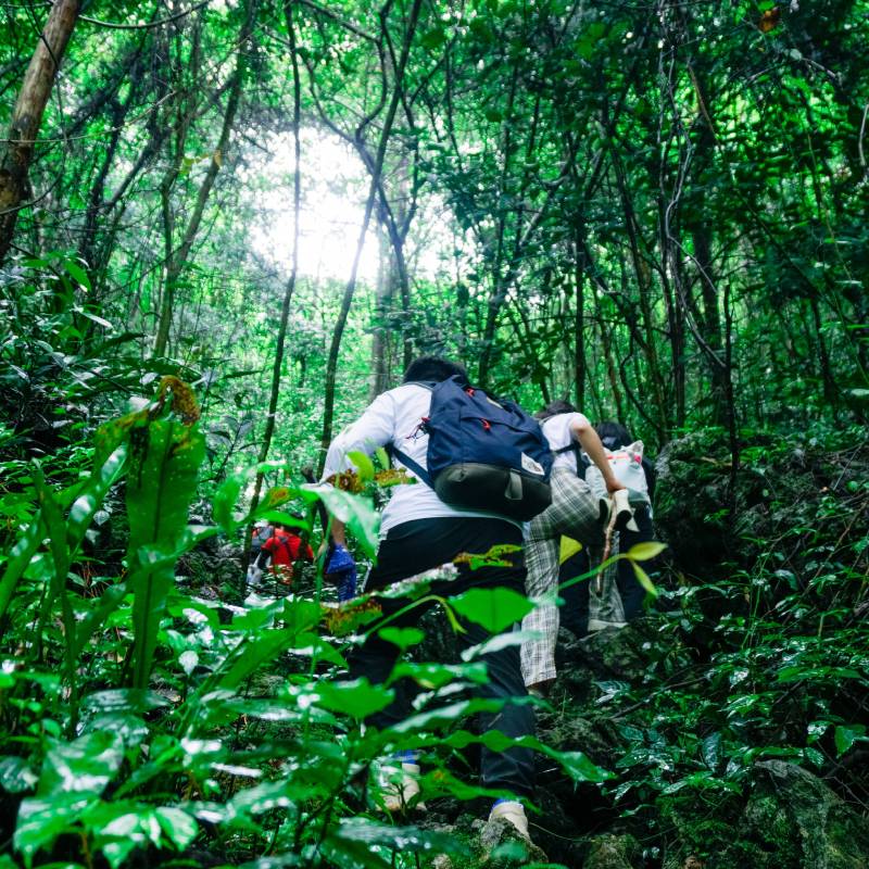 贵州旅游荔波茂兰喀斯特原始森林徒步专业领队摄影2-8人小团2日游