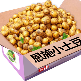 恩施小土豆新鮮洋芋馬鈴薯3 9斤小個(gè)頭高山土豆