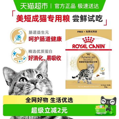 皇家美短成猫试吃猫粮