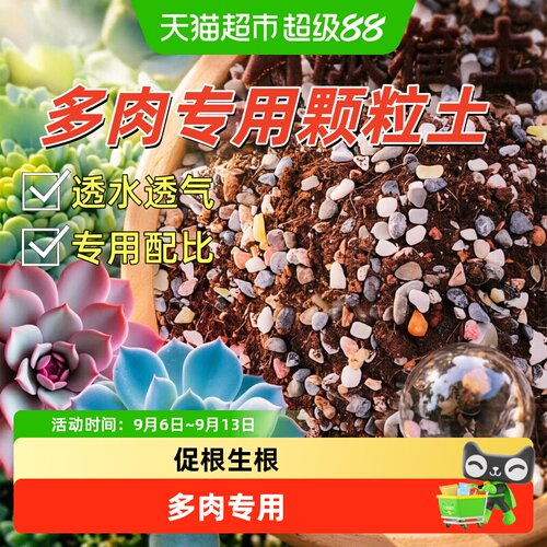 德沃多肉土透气优良排水顺畅