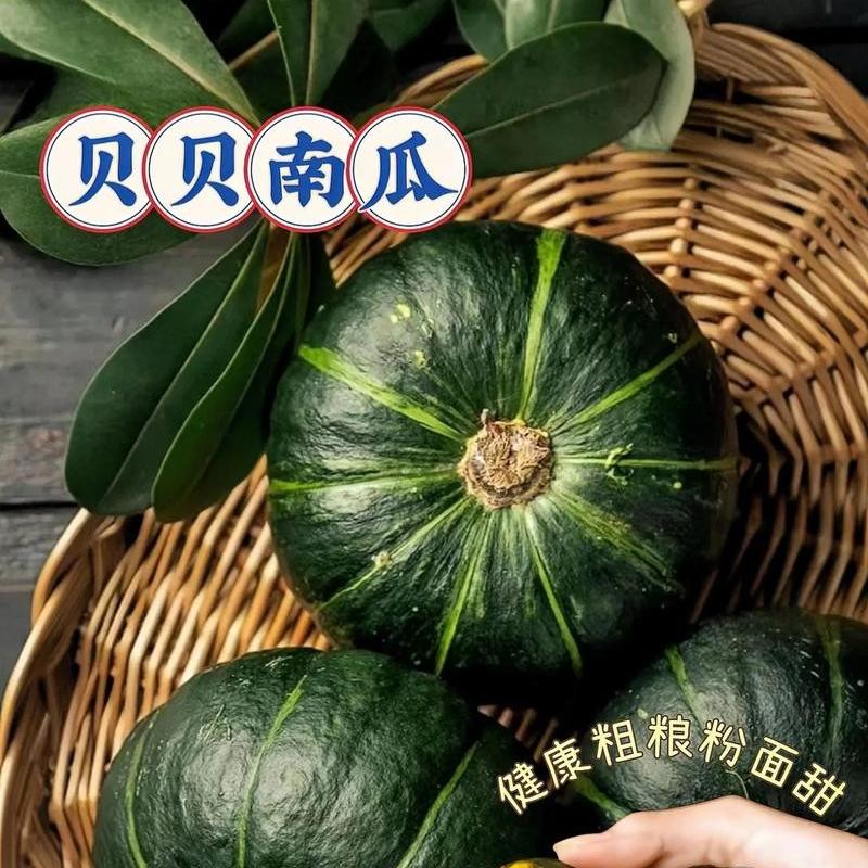 ty2贝贝南瓜正宗山东新鲜4.5斤板栗味小南瓜老瓜粉糯香甜