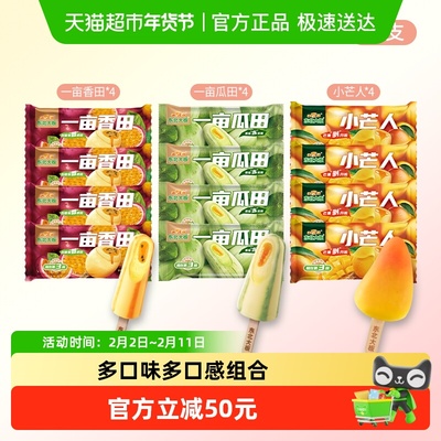 东北大板多口味冰淇淋自选