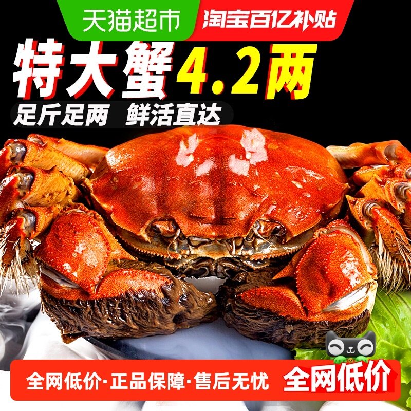 I活蟹I仲秋大闸蟹鲜活现货全母公螃蟹礼盒湖鲜河蟹去绳净重,水产肉类/新鲜蔬果/熟食,大闸蟹,淘宝优惠券,粉丝福利购,淘宝优惠卷