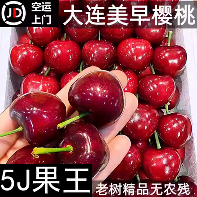 618大连美早樱桃车厘子美早樱桃特大J陆地大美早空运