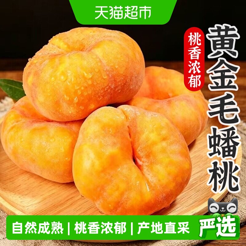 孙悟空正宗陕西黄金毛蟠桃