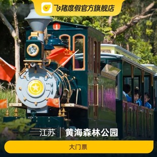 大门票 黄海森林公园