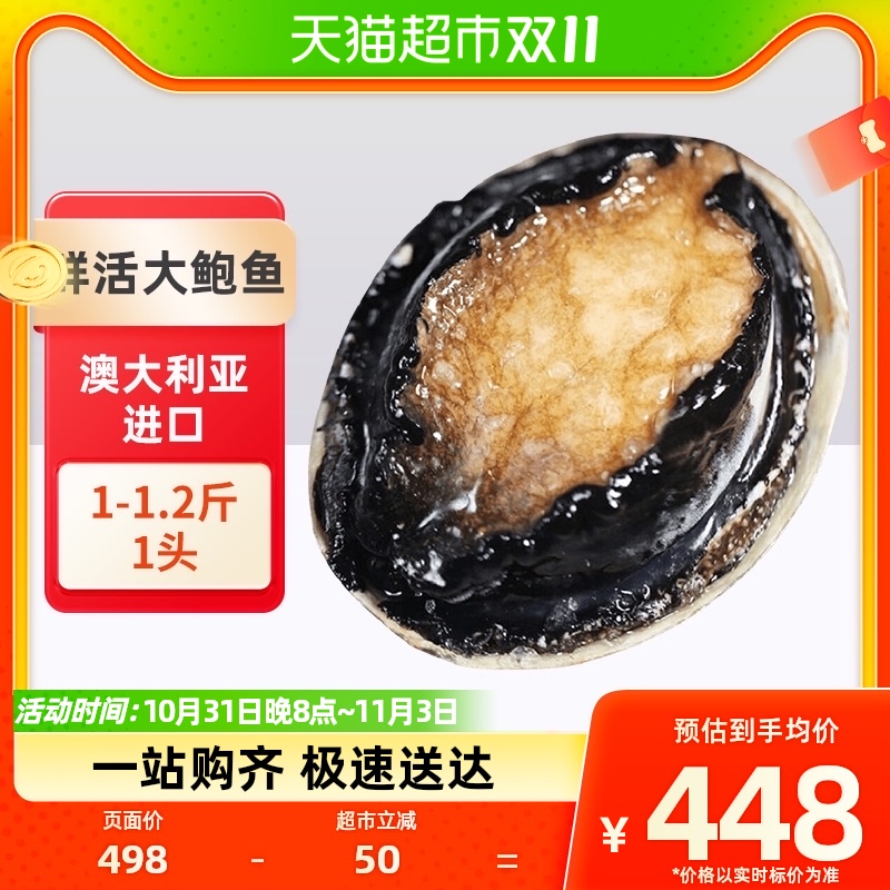 【活鲜】渔传播澳洲鲜活大鲍鱼1-1.2斤 1头贝类刺身食材海鲜怎么看?