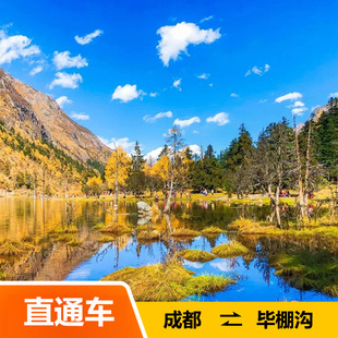 [毕棚沟-成都-毕棚沟景区往返直通车]成都-毕棚沟直通车可选单程往返
