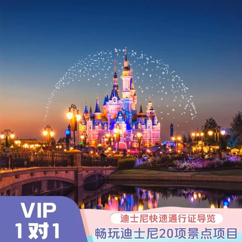 上海迪士尼乐园线下一对一家庭专属管家1对1服务家庭快速游玩,景点门票/演艺演出/周边游,境内玩乐单项,淘宝优惠券,粉丝福利购,淘宝优惠卷