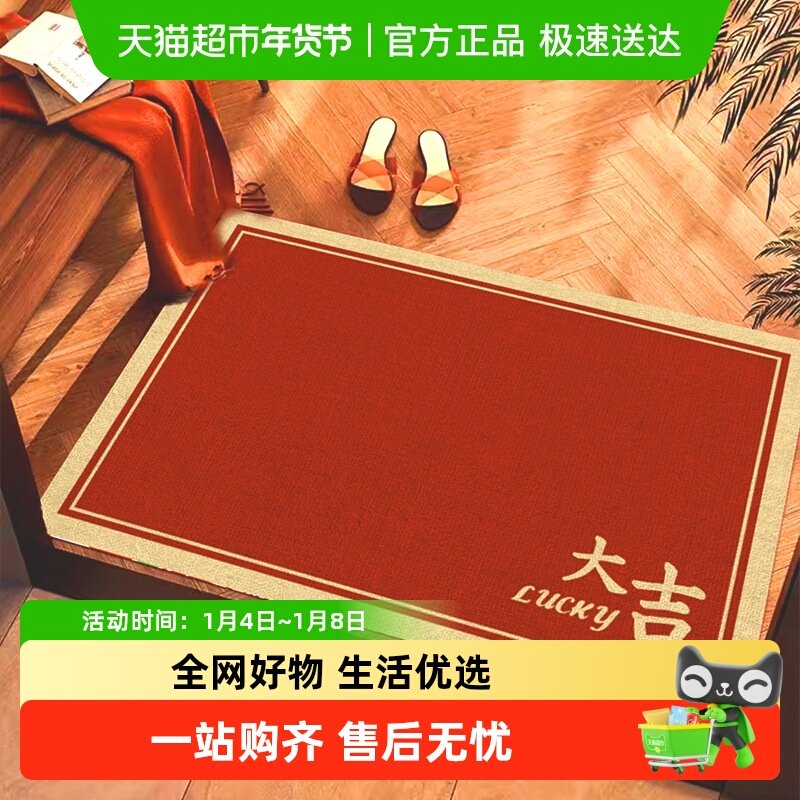 包邮入户门玄关地垫门口耐脏进门脚垫家用红色门垫防滑吸水地毯垫