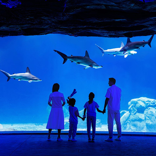 珠海长隆飞船乐园门票