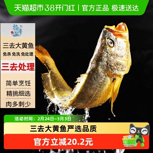 拾鲜生宁德深海大黄鱼新鲜冷冻生鲜整条三去免处理大黄鱼深海海鲜
