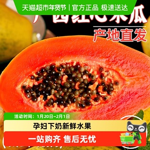 红心牛奶木瓜新鲜应季当季水果冰糖心树上熟整箱甜现摘自然长