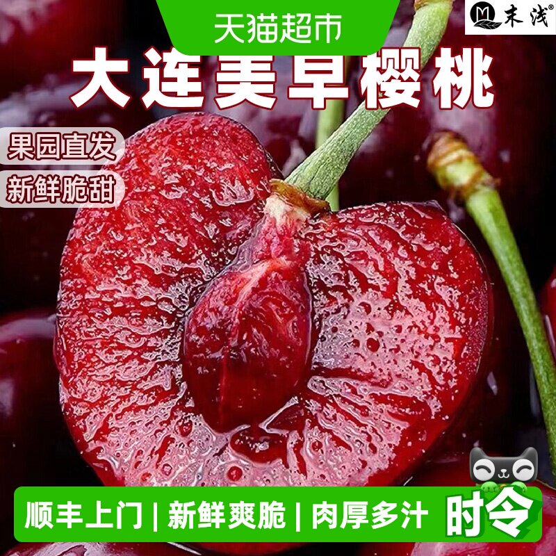 顺丰上门【产地直发】末浅大连美早大樱桃新鲜水果国产应季现摘