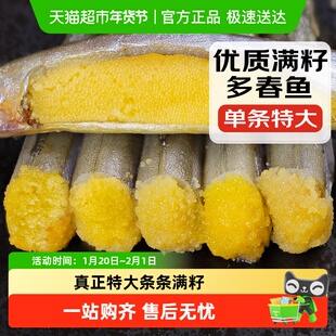加拿大多春鱼满籽新鲜冷冻多籽鱼