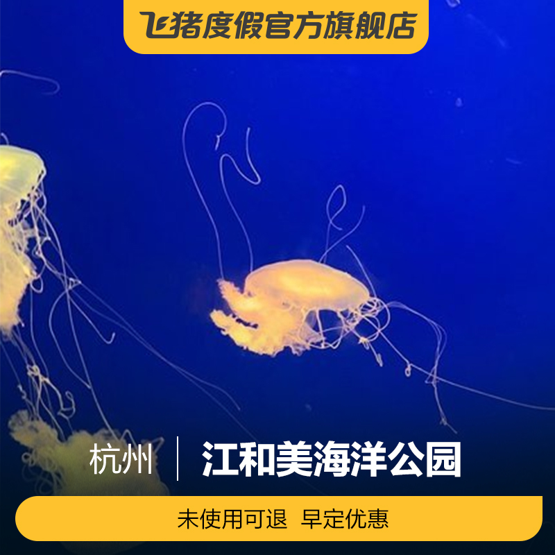 [江和美海洋公园-大门票]江和美海洋公园门票