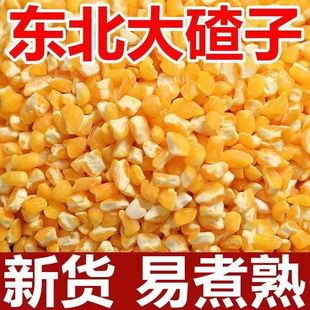 正宗东北黏碴子黄糯玉米碴子纯正粘大碴子新粮黄黏碴子杂粮早餐
