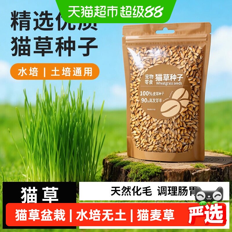 猫草盆栽种子水培无土种籽猫吃自种猫咪化毛去毛球零食懒人猫麦草