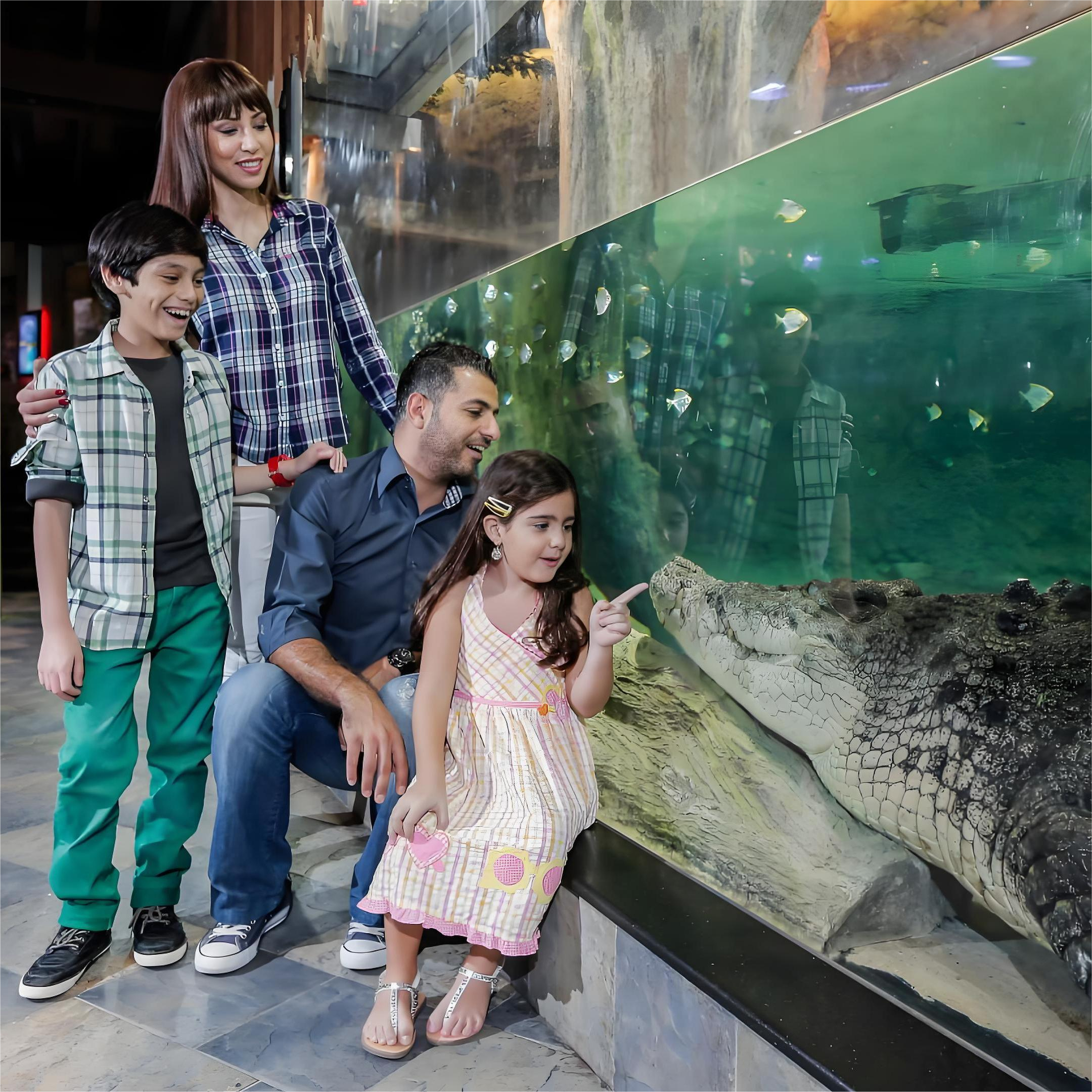 [迪拜水族馆和水下动物园-大门票（银票）][迪拜水族馆和水下动物园-大门票]出示凭证入场