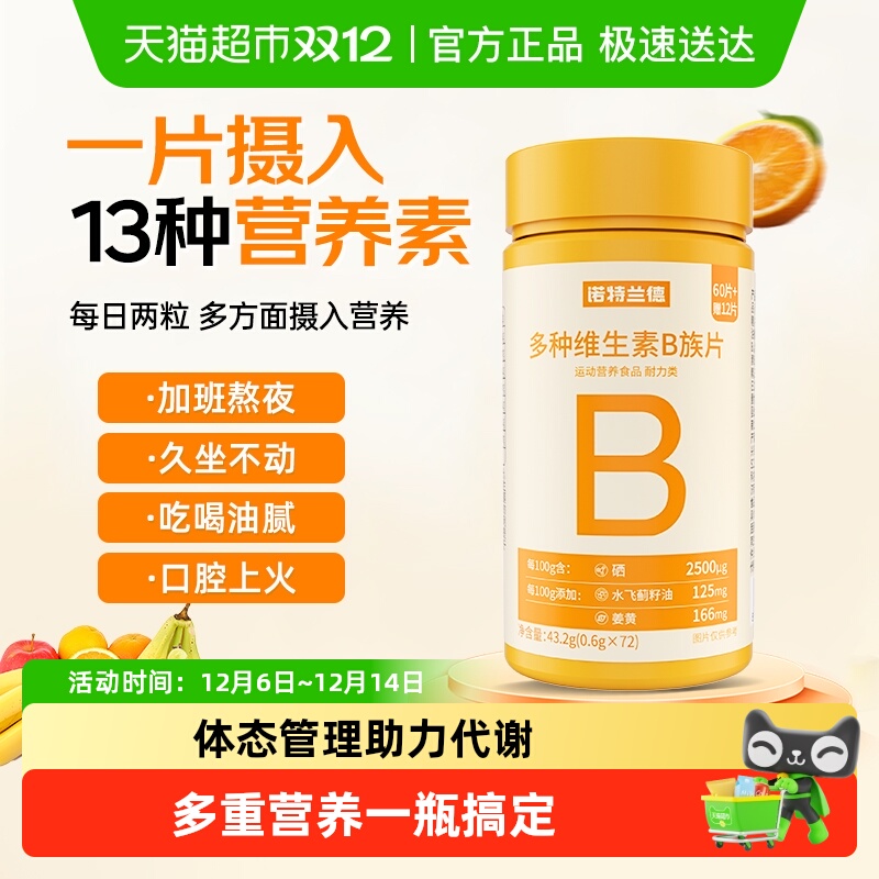 诺特兰德VB维BB6B12维生素片