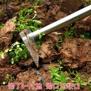 新品 2023大锄头不锈钢宽锄种花种菜G工具农用翻土锄园艺除草