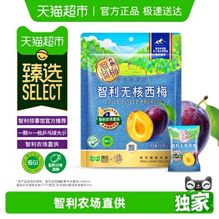 溜溜梅智利无核西梅低GI高膳食纤维营养协会领事馆推荐 臻选
