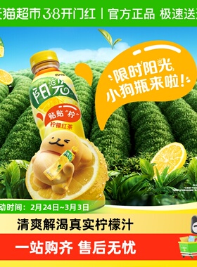 阳光X线条小狗联名茶饮料柠檬红茶500ml*12瓶可口可乐经典
