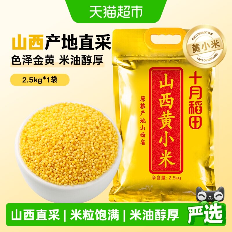 十月稻田山西黄小米特产粗粮图片