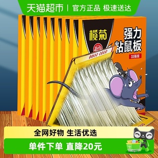 榄菊老鼠贴强力粘鼠板加大加厚10张老鼠药驱灭大老鼠捕鼠神器家用