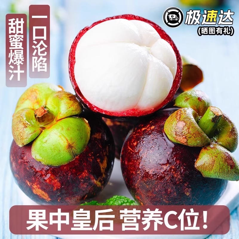 现货速发泰国进口山竹当季新鲜水果9/5斤/3A整箱包邮