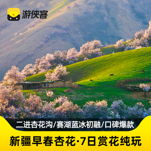 游侠客新疆杏花8日跟团旅游纯玩 吐尔根杏花沟赛里木湖库木塔格