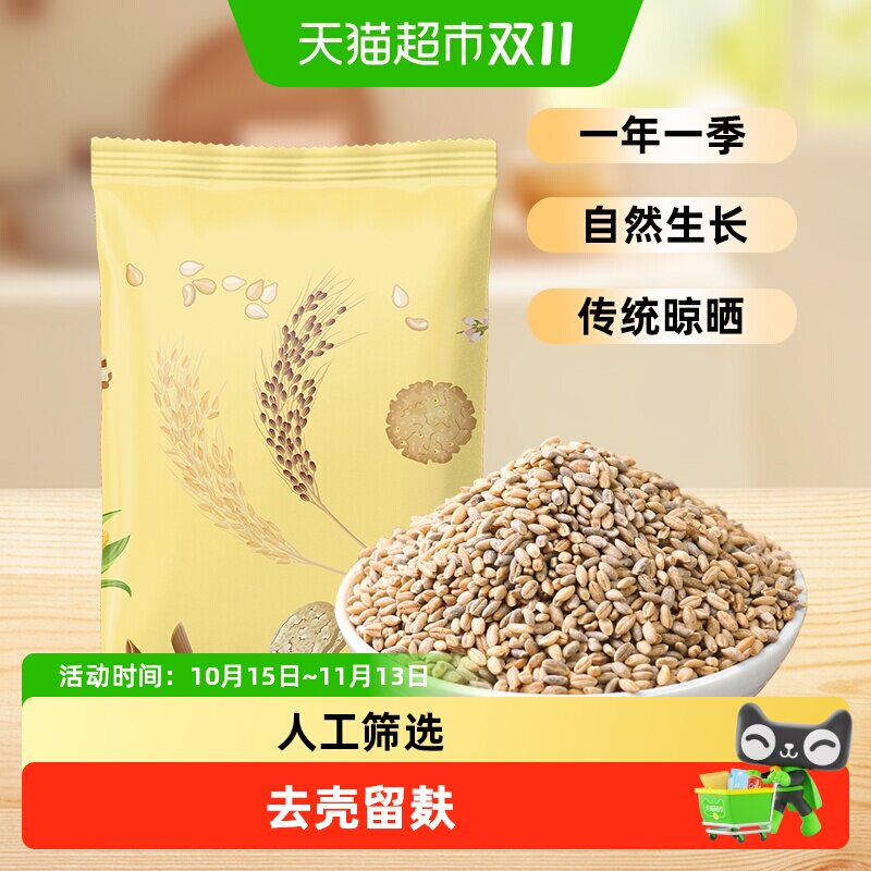 邹有才蓝青稞米高原特产新米粗粮主食五谷杂粮煮粥谷物煮饭麦仁