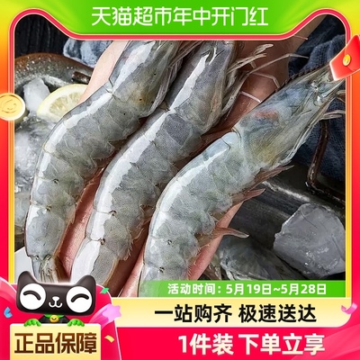 【香菇来了】鲜冻大虾1.5kg/盒特大30/40冷冻白虾1盒/2盒