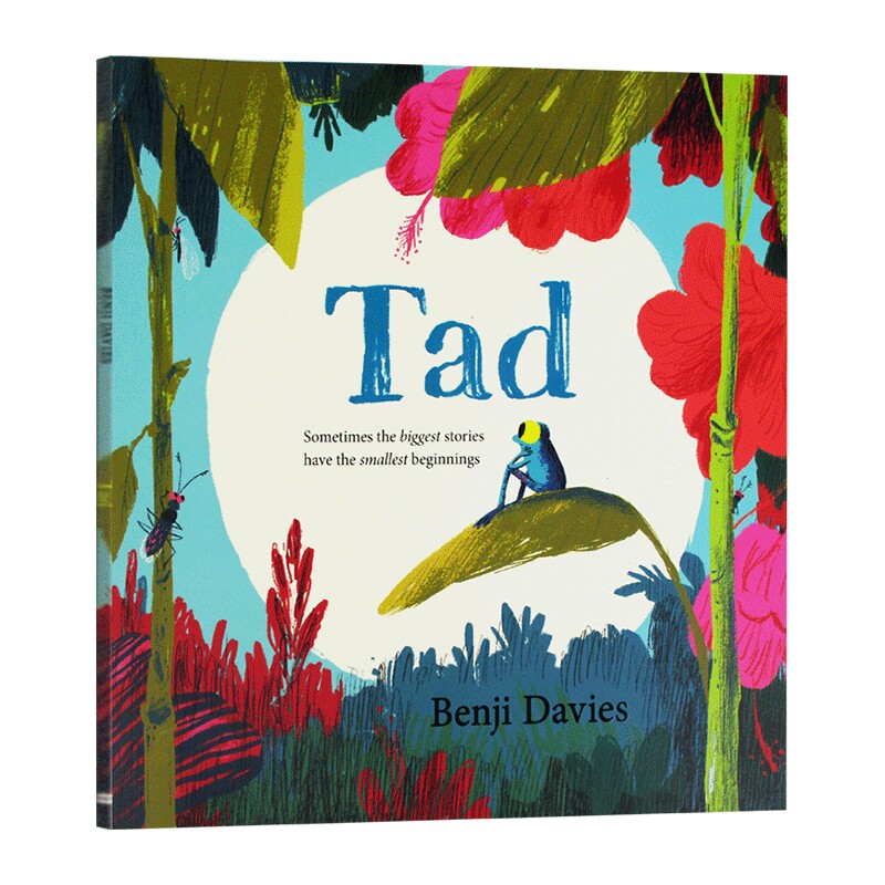 小蝌蚪达德 英文原版 Tad 青蛙达德 本吉戴维斯绘本 Benji Davies 大开本 英文版儿童英语启蒙早教故事书 进口原版书籍