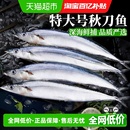 云储生活秋刀鱼新鲜冷冻商用整箱特大号烧烤料理俄罗斯海鲜水产