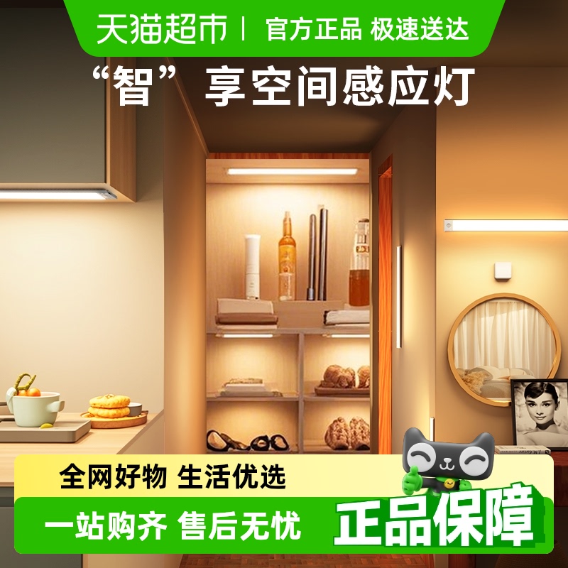 LED衣柜人体感应带磁吸橱柜灯