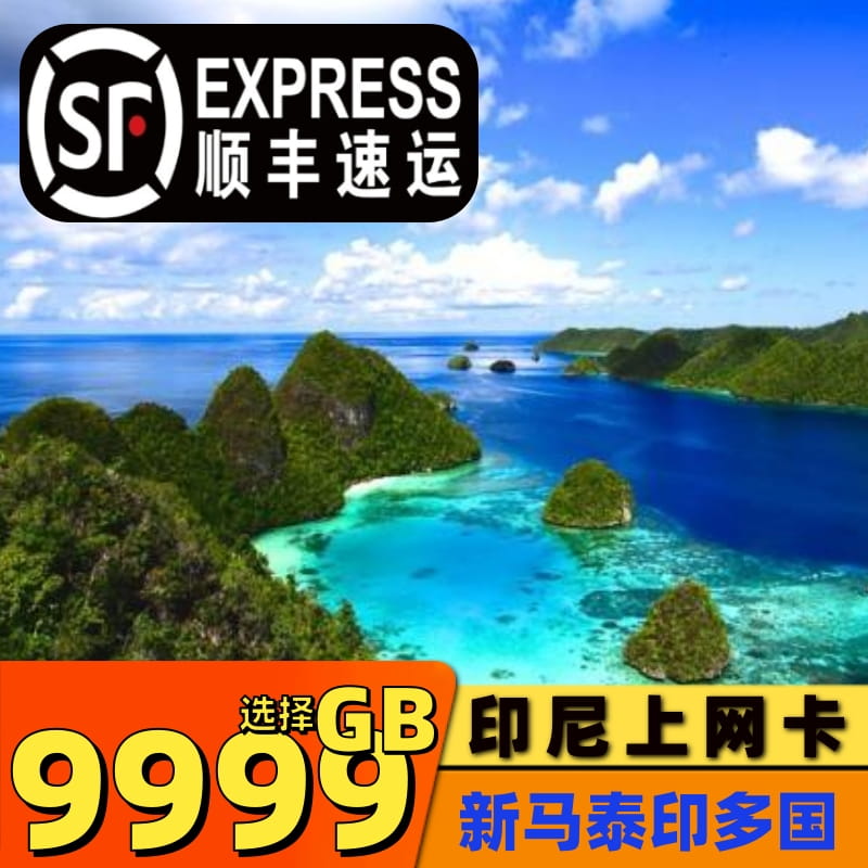 新加坡民丹岛通用 覆盖广信号强 4G网络