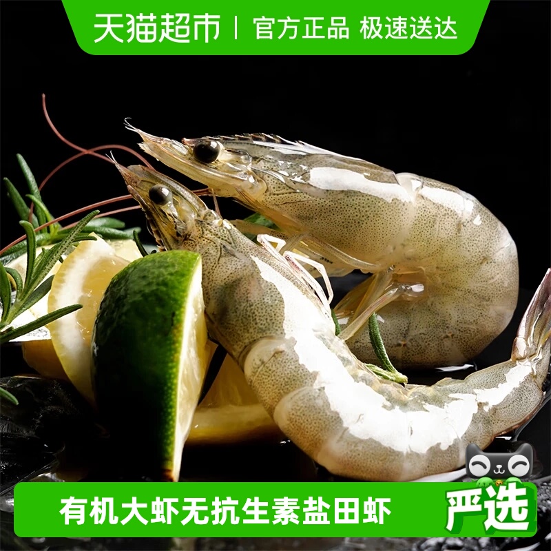 俏虾客对虾有机大虾新鲜大虾