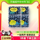 Driscoll 盒云南蓝莓大果精选宝宝应季 125g s怡颗莓4盒装 新鲜水果