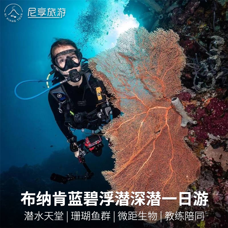 印尼美娜多布纳肯蓝碧浮潜深潜潜水一日游尼享旅游 度假线路/签证送关/旅游服务 境外一日游/多日游 原图主图