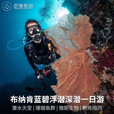 印尼美娜多布纳肯蓝碧浮潜深潜潜水一日游尼享旅游