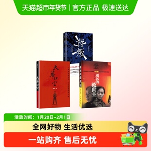 豆豆三部曲 遥远的救世主+天幕红尘+背叛 正版原著小说文学书籍